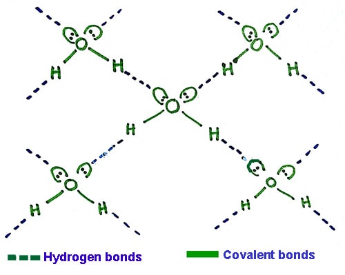 hydrogen bonds in H2O